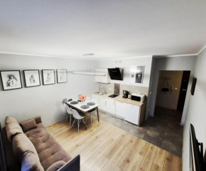 Apartament Mozaika II
